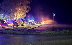 Feuerfrei für Action und Freundschaft